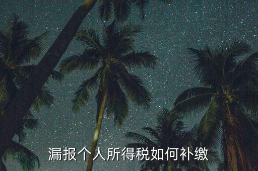 安徽省個稅如何補(bǔ)充申報，漏報個人所得稅如何補(bǔ)繳