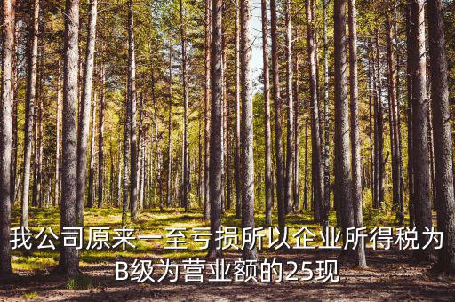 我公司原來一至虧損所以企業(yè)所得稅為B級(jí)為營業(yè)額的25現(xiàn)