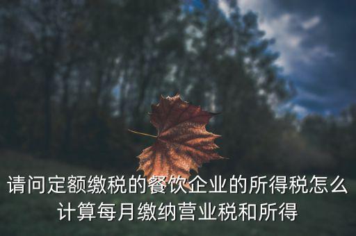 定額納稅企業(yè)如何計(jì)算公式，企業(yè)稅金計(jì)算公式