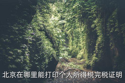 北京如何打個稅證明，北京買房 如何開個稅證明