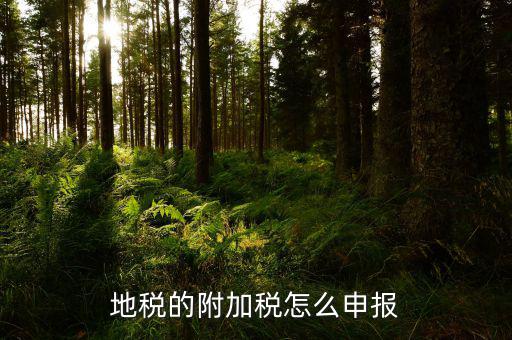 地稅附加稅如何申報(bào)表，城建稅教育費(fèi)附加地方教育附加稅申報(bào)表怎么填