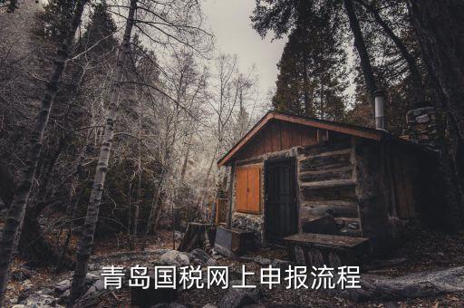 青島國(guó)地稅如何申報(bào)，國(guó)稅怎么申報(bào)