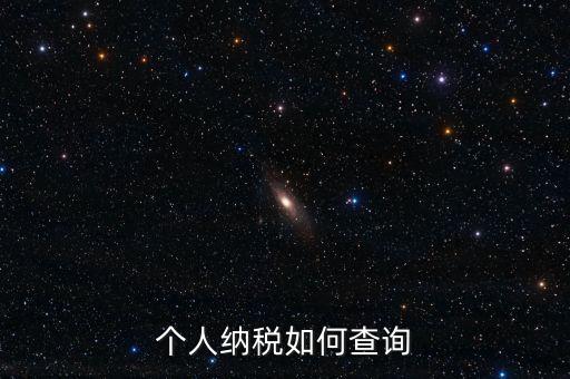 個(gè)人納稅如何查詢(xún)