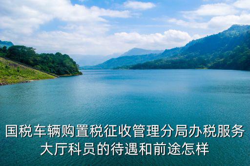 辦稅員工資如何，國稅車輛購置稅征收管理分局辦稅服務(wù)大廳科員的待遇和前途怎樣