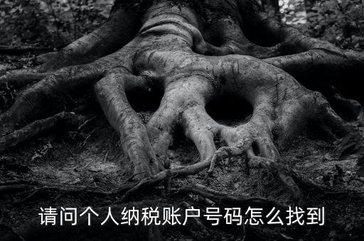如何查詢(xún)個(gè)人稅務(wù)編號(hào)查詢(xún)，如何查看個(gè)人名下的稅務(wù)證