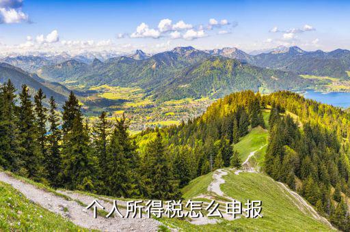 個人所得稅個人如何申報，個人所得稅怎么申報