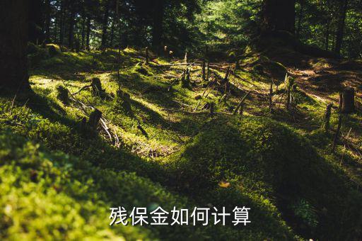 2016年杭州殘疾人保障金如何計(jì)算方法，殘疾人保障金計(jì)算方式