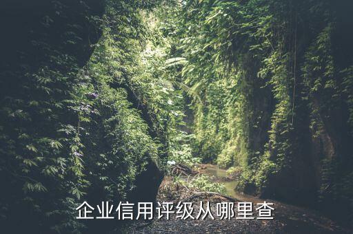 企業(yè)信用評級(jí)從哪里查