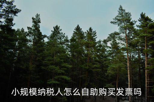 小規(guī)模如何領(lǐng)購發(fā)票，小規(guī)模納稅人領(lǐng)取發(fā)票程序