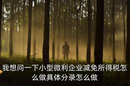 小微企業(yè)所得稅如何減免，我想問一下小型微利企業(yè)減免所得稅怎么做具體分錄怎么做