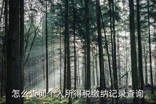 沈陽如何查個(gè)人所得稅繳費(fèi)明細(xì)，如何查詢個(gè)人所得稅申報(bào)明細(xì)情況