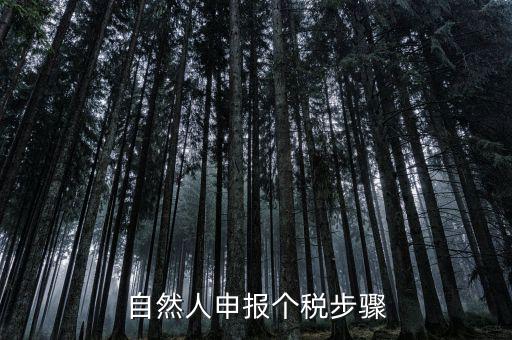 自然人稅收如何申報(bào)表，自然人申報(bào)個(gè)稅步驟