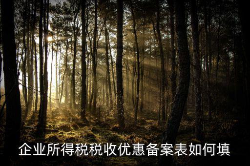 如何填寫企業(yè)所得稅優(yōu)惠事項備案表，企業(yè)所得稅減免稅備案表填寫