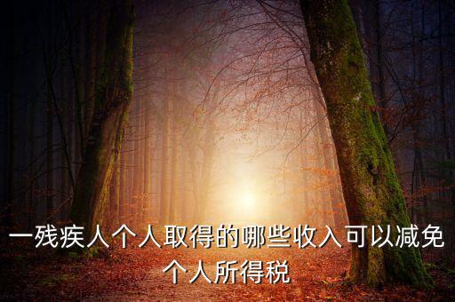 殘疾人減免個稅如何做賬，有殘疾人免稅證明在個人所得稅申報系統(tǒng)中如何填寫急