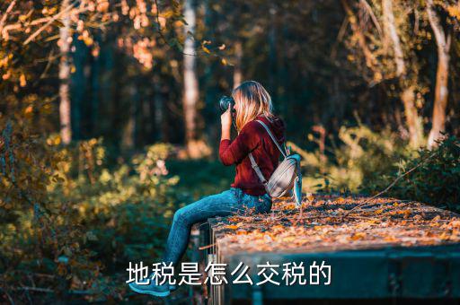吉林市地稅如何收取，國(guó)地稅怎么收