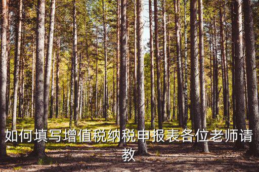 增值稅納稅申報表如何填報，增值稅申報表如何填寫