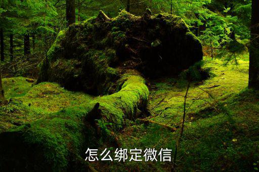 微信如何綁定深圳國稅，怎么綁定微信