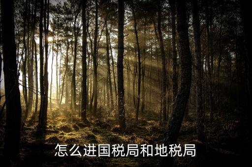 山西國(guó)稅系統(tǒng)如何進(jìn)入地稅，怎么進(jìn)國(guó)稅局和地稅局