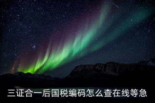 個人稅務(wù)編號如何查，請問在哪里可以查到納稅人編碼