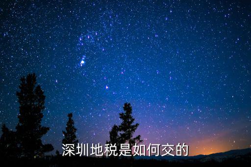 深圳市國(guó)家稅務(wù)局如何交稅，深圳市公司網(wǎng)上報(bào)國(guó)稅要這么操作啊