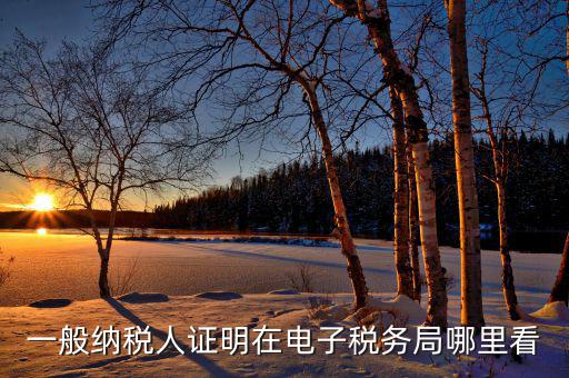 電子稅務(wù)局如何查詢稅務(wù)登記證，一般納稅人證明在電子稅務(wù)局哪里看