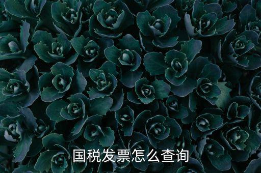 深圳市國稅局郵寄發(fā)票如何查詢，國稅發(fā)票怎么查詢