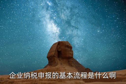 施工企業(yè)如何申報稅，企業(yè)納稅申報的基本流程是什么啊