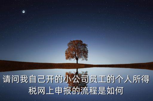 請(qǐng)問(wèn)我自己開的小公司員工的個(gè)人所得稅網(wǎng)上申報(bào)的流程是如何