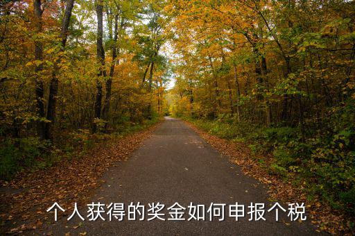 如何將獎金的稅款繳納至稅務局，個人獲得的獎金如何申報個稅