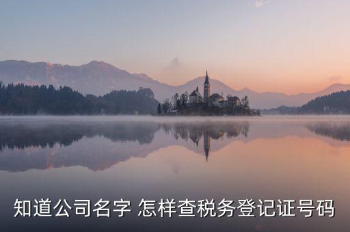 公司國稅編號(hào)如何查詢系統(tǒng)，公司的稅務(wù)登記證號(hào)怎么查詢