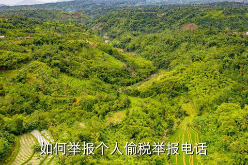 如何去稽查局 舉報(bào)電話，如何舉報(bào)個(gè)人偷稅舉報(bào)電話