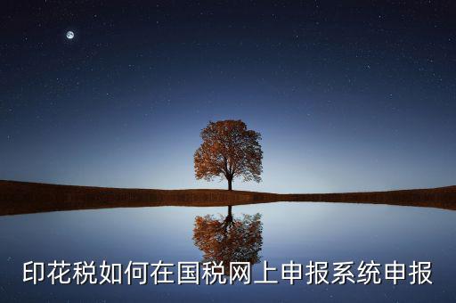 如何在網(wǎng)上申報安徽印花稅，如何在網(wǎng)上進(jìn)行印花稅的申報和繳納