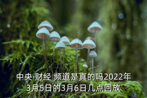 財(cái)經(jīng)頻道節(jié)目怎么回看,湖北電視臺頻道推出回看功能