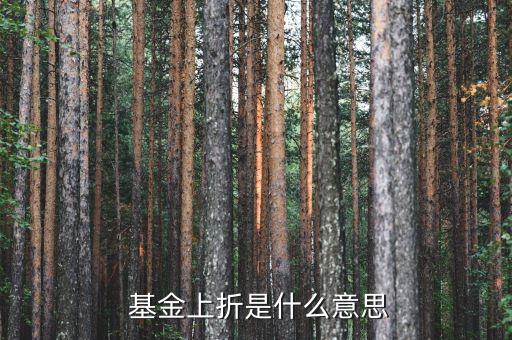 B基金上折前折價怎么辦,分級基金折價是牛市風(fēng)向標之一