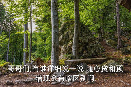 哥哥們,有誰詳細說一說 隨心貸和預借現(xiàn)金有啥區(qū)別啊