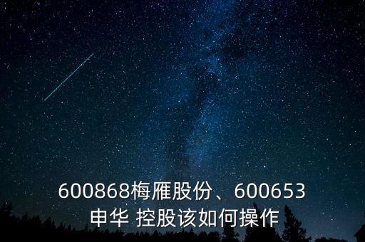 600868梅雁股份、600653 申華 控股該如何操作