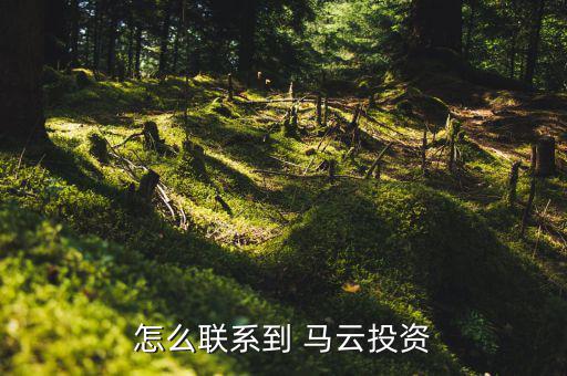怎么像馬云貸款,沒有馬云時代，只有錢花時代怎么找投資人?