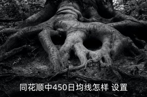 同花順中450日均線(xiàn)怎樣 設(shè)置