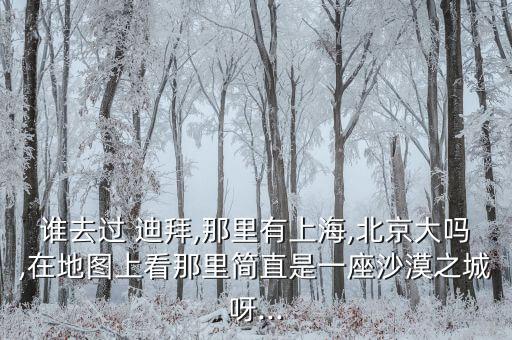 誰(shuí)去過 迪拜,那里有上海,北京大嗎,在地圖上看那里簡(jiǎn)直是一座沙漠之城呀...