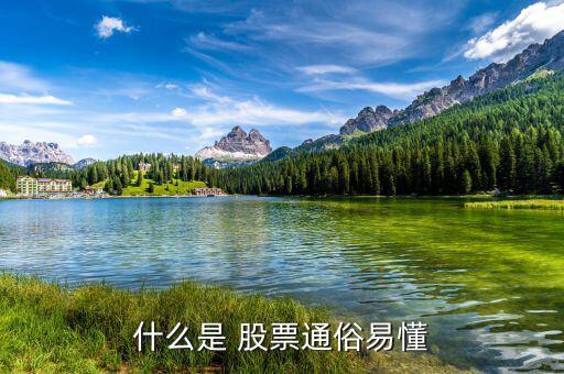怎么懂股票,股票基礎(chǔ)、股票定投、投資書籍等資源免費下載