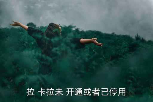 拉卡拉商戶開通未通過(guò)怎么辦,武漢出現(xiàn)第一起病例