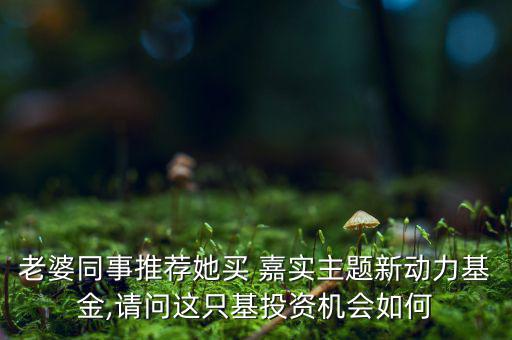 老婆同事推薦她買 嘉實主題新動力基金,請問這只基投資機(jī)會如何