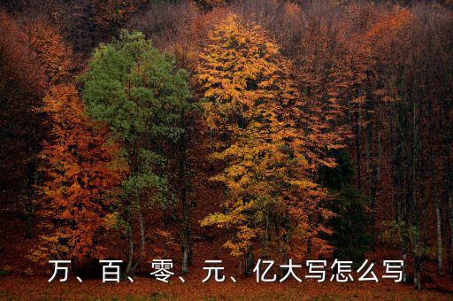 萬、百、零、元、億大寫怎么寫