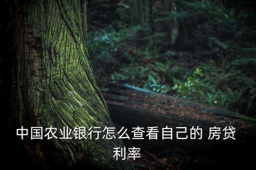 中國農業(yè)銀行怎么查看自己的 房貸 利率