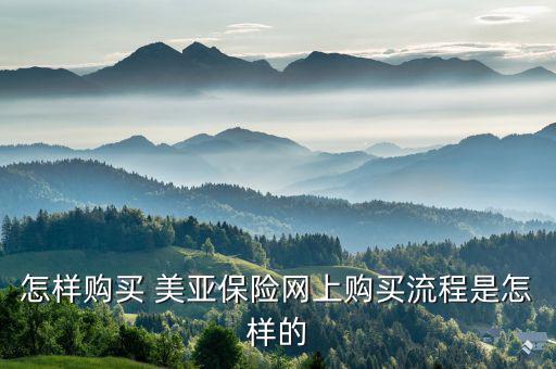 美亞保險(xiǎn)怎么報(bào)險(xiǎn),春運(yùn)如何購買保險(xiǎn)?可在線投保、索賠