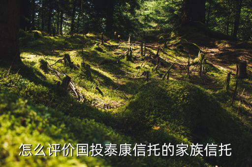 怎么評價(jià)國投泰康信托的家族信托