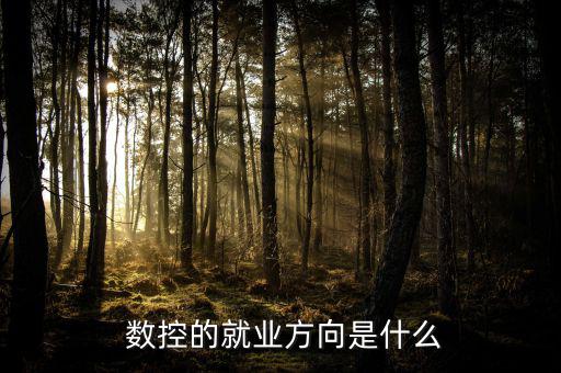 法因數(shù)控怎么樣,數(shù)控設備管理高級技術型、應用型專業(yè)人才