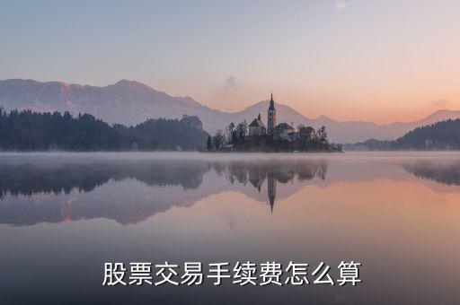買股票費(fèi)用怎么算,股票交易費(fèi)用包括手續(xù)費(fèi)、過(guò)戶費(fèi)和傭金