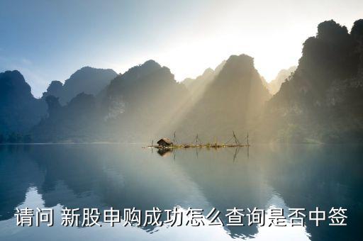 怎么查打新股是否中標,新股買賣日將有哪些重點?