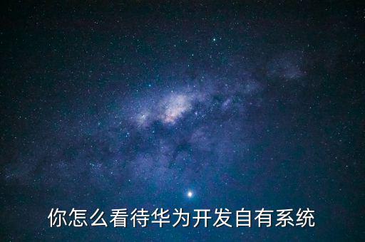 你怎么看待華為開發(fā)自有系統